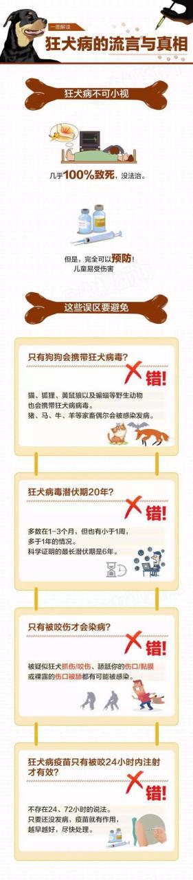 被孕猫抓伤怎么办_猫抓伤狂犬病几乎为0_小孩被猫抓伤怎么办
