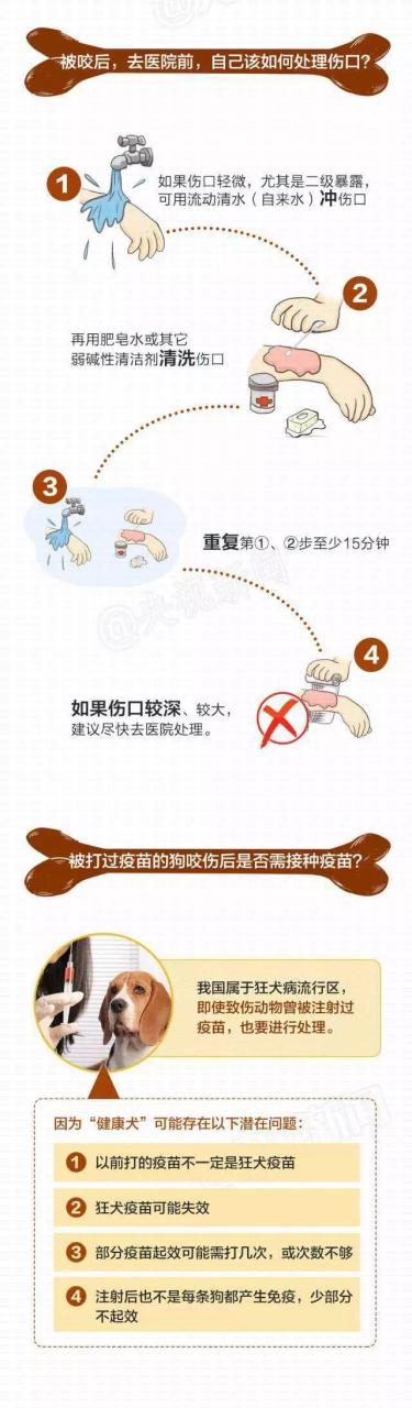 猫抓伤狂犬病几乎为0_被孕猫抓伤怎么办_小孩被猫抓伤怎么办