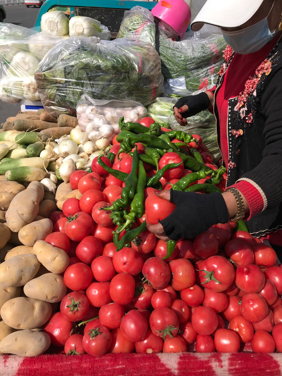 香椿树根笔筒价格_香椿价格_山东香椿树苗价格