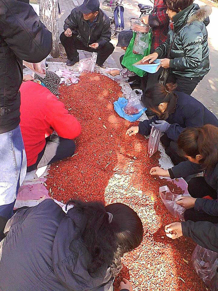 香椿树根笔筒价格_香椿价格_山东香椿树苗价格