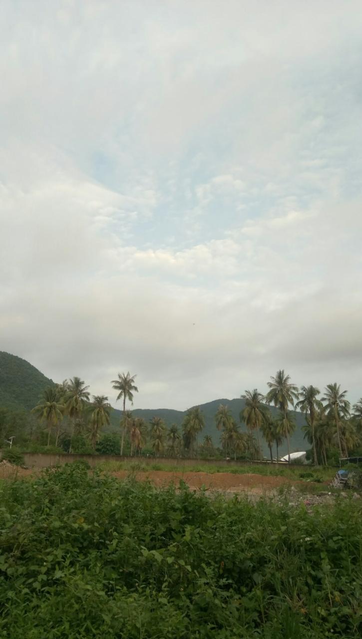 三亚气候_琼海 三亚 气候_三亚一年气候