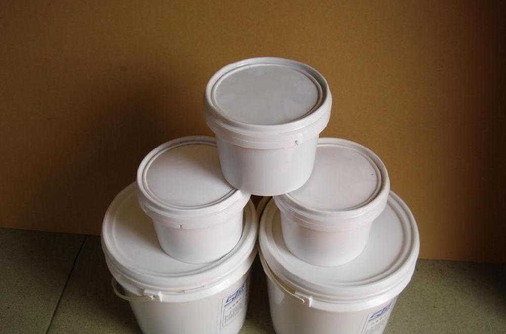 白景琦_白崇儿子白先道_白十姐妹和白珍珠鸟白文鸟