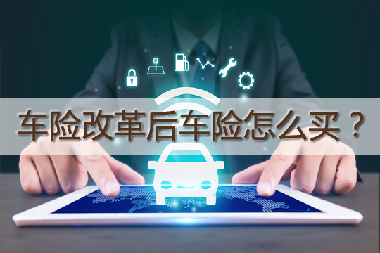 项天骐有钱吗_车险有哪几项_中国政府门户网站测评中专题服务有17项