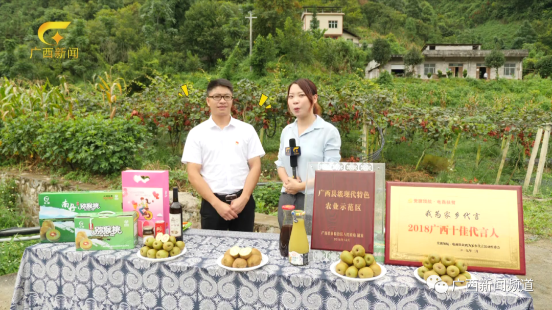 红心猕猴桃_红肉猕猴桃和红心猕猴桃的区别_猕猴桃苗红心猕猴桃采收要点