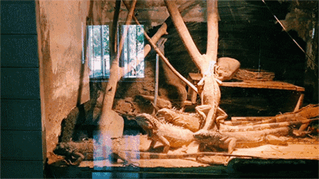 佘山月圆园艺术园门票_天津动物园门票_天津绿博园门票