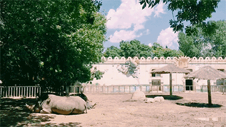 佘山月圆园艺术园门票_天津绿博园门票_天津动物园门票