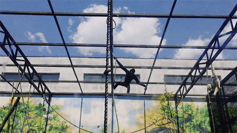 佘山月圆园艺术园门票_天津绿博园门票_天津动物园门票