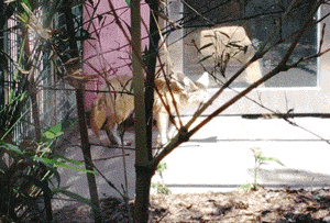 天津绿博园门票_天津动物园门票_佘山月圆园艺术园门票