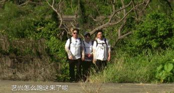 完美国际官网寻宝_网易有cbg完美有寻宝盛大有什么_完美寻宝网