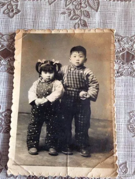 倪萍年龄今年多少岁_倪萍年龄_赵雅芝和倪萍谁年龄大