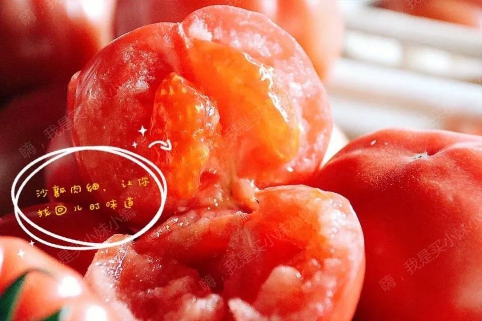 大棚羊角蜜种植视频_羊角蜜种植技术视频_羊角蜜