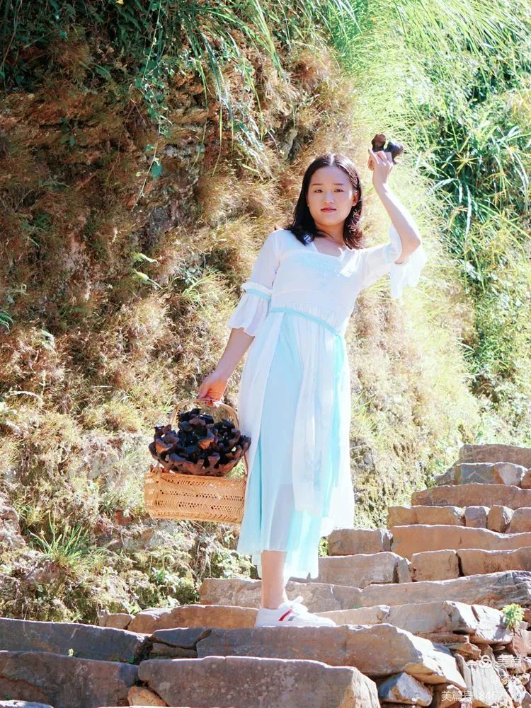 龙岗同乐丁甲岭_天津出入境检验检疫局滨海办事处 丁福岭_丁屋岭