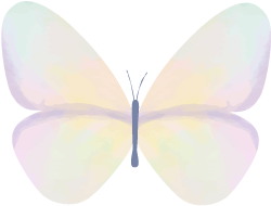 郑板桥的简介 兴化：左手郑板桥，右手施耐庵