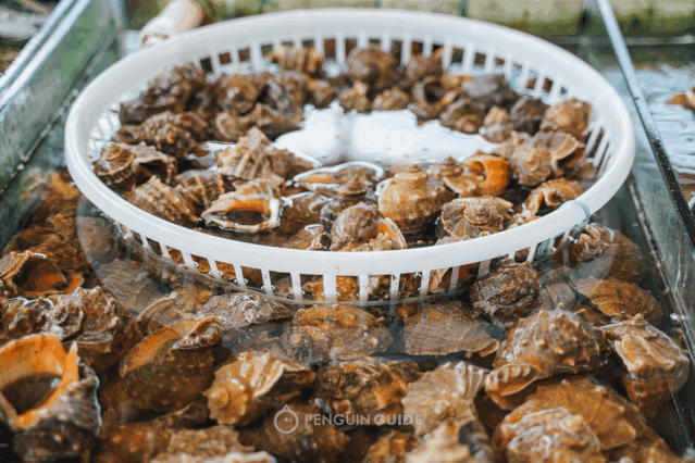粘皮瑙虾虎_皮虾不能和什么一起吃_皮皮虾