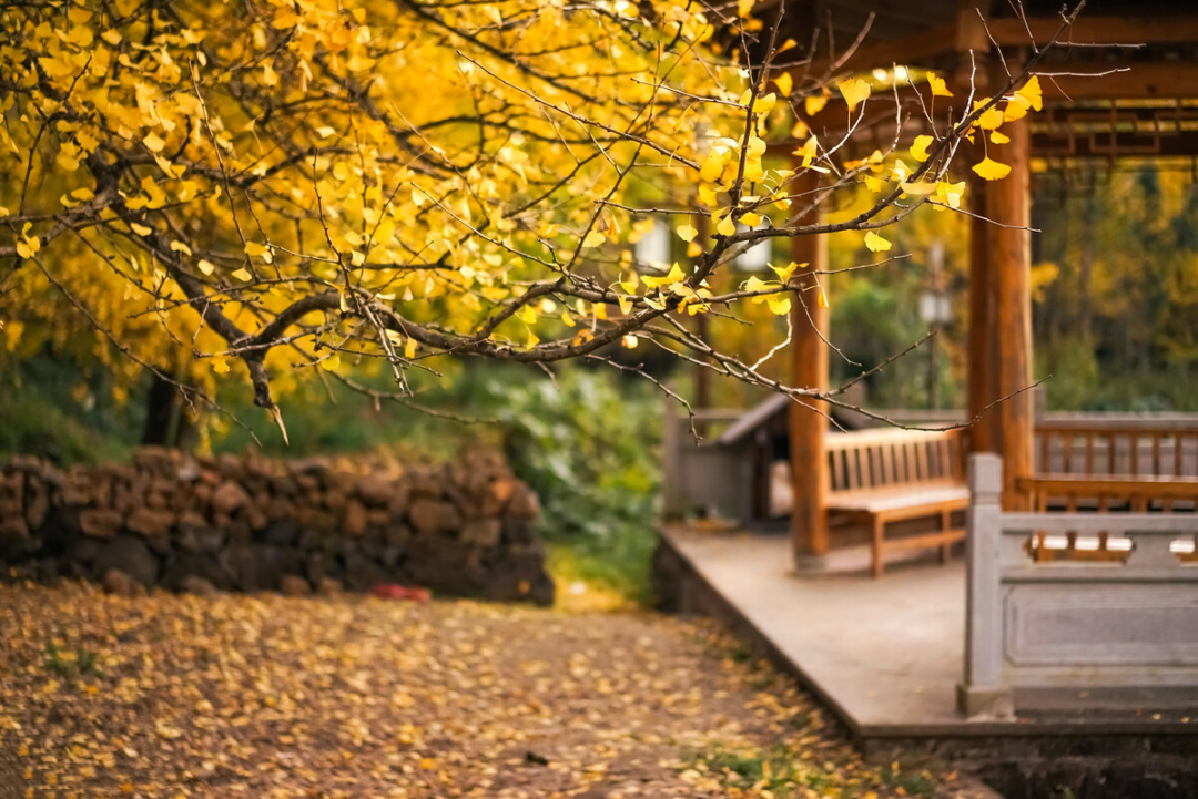 去南宁旅游一般都是那些景点_去韶山旅游有几个景点_云南旅游必去的景点