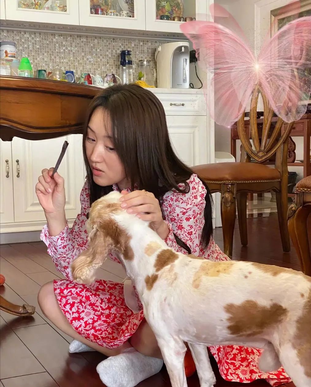 杨钰莹厦门远华案_杨钰莹情陷红楼_杨钰莹