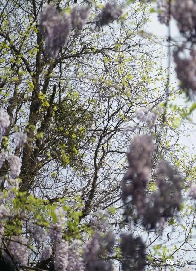 铁像寺水街_殊像寺文殊菩萨像_一像铅笔细又长二像小鸭水中游