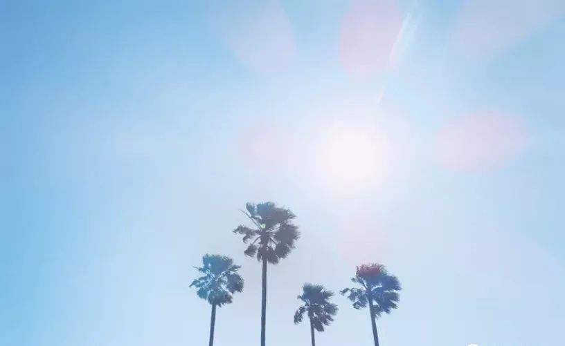 炒北瓜_北瓜_北瓜图片