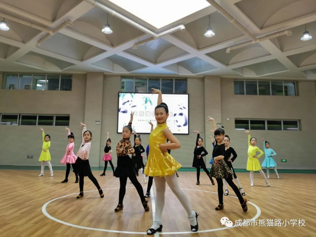 熊猫的资料作文_熊猫图片和资料_大熊猫的资料