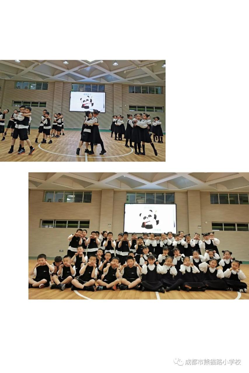 熊猫的资料作文_熊猫图片和资料_大熊猫的资料