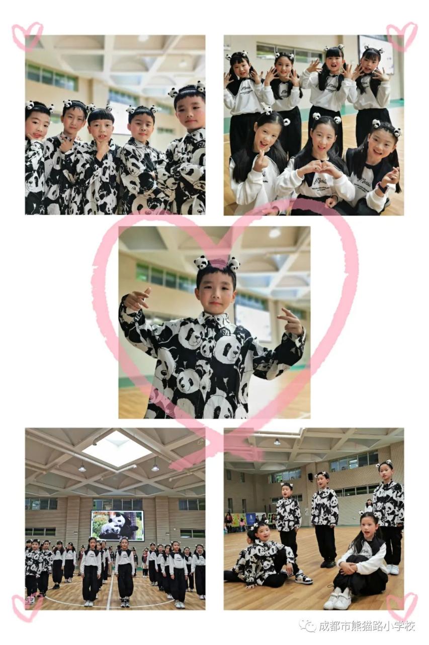 大熊猫的资料_熊猫的资料作文_熊猫图片和资料