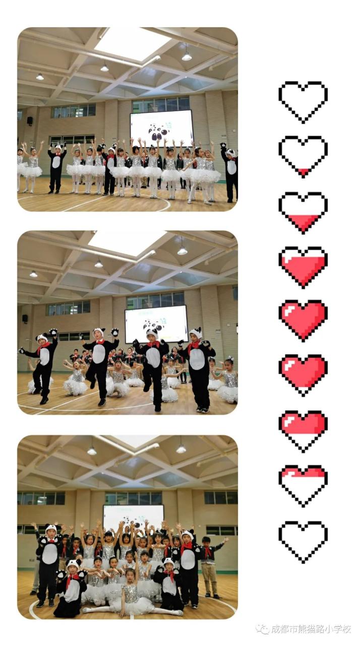 大熊猫的资料_熊猫图片和资料_熊猫的资料作文