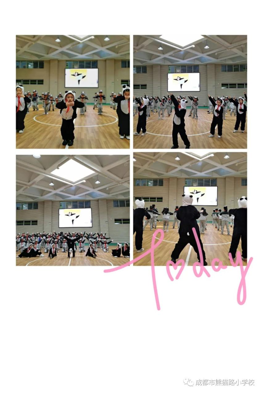 大熊猫的资料_熊猫的资料作文_熊猫图片和资料