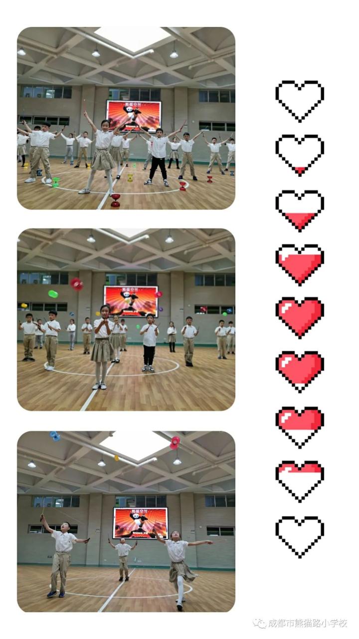 熊猫的资料作文_大熊猫的资料_熊猫图片和资料