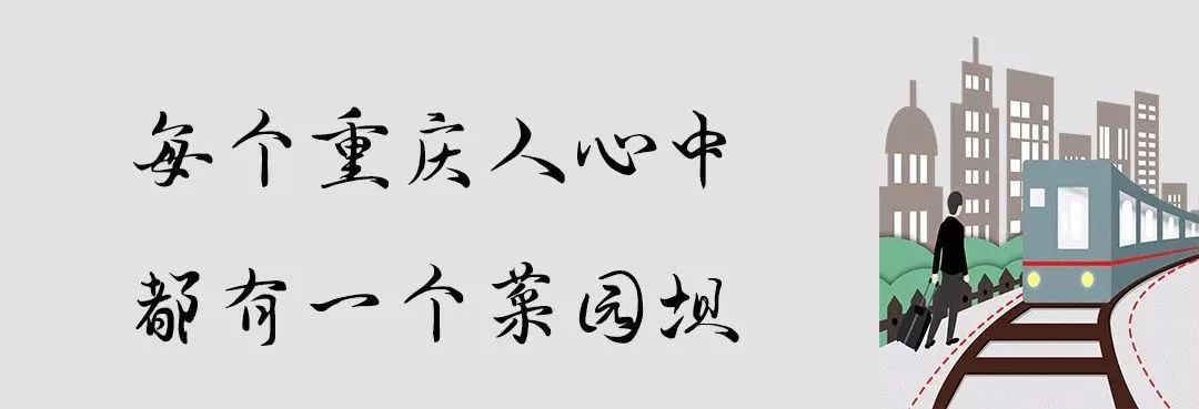 请问重庆菜园坝汽车站到三台卢溪的时刻表_重庆菜园坝汽车站到绵阳汽车时刻表_菜园坝汽车站