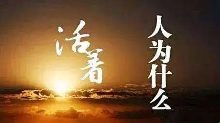 植护婴儿洗衣皂怎么样_植护原木抽纸_植护