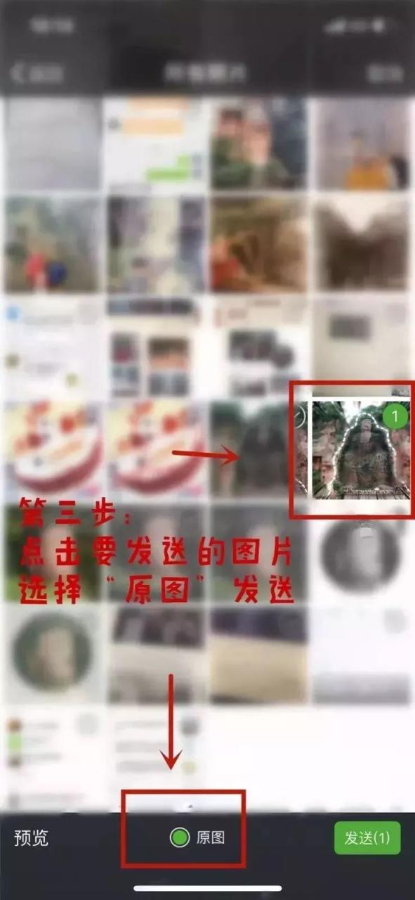 乐山大佛资料_乐山坐船看大佛_乐山坐船看大佛多少钱