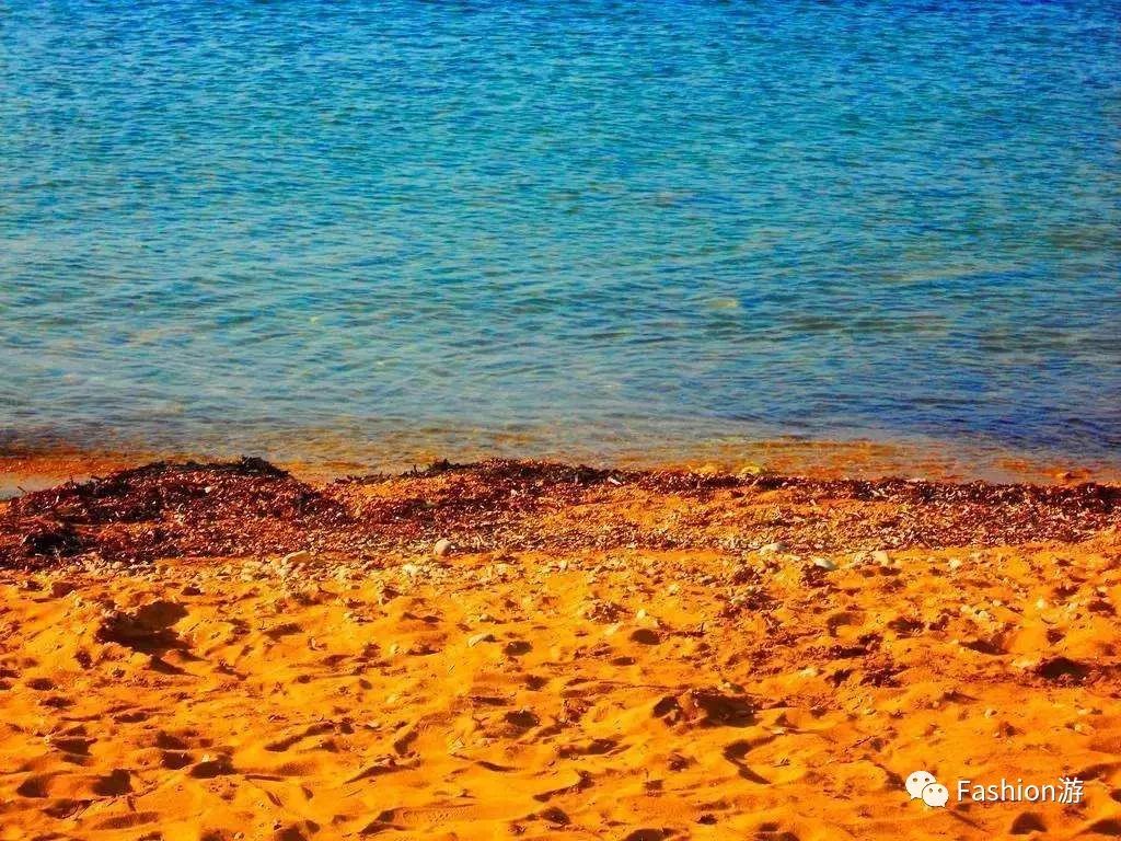 马耳他骑士团_马耳他共和国_马耳他留学费用