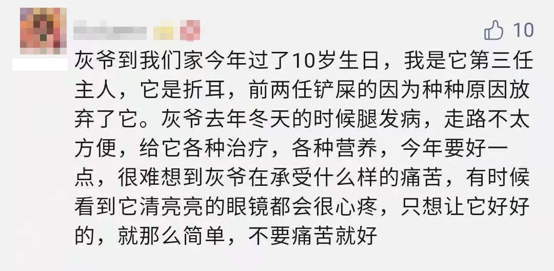 折耳猫价格 折耳猫多少钱一只_苏格兰折耳立耳猫_折耳猫