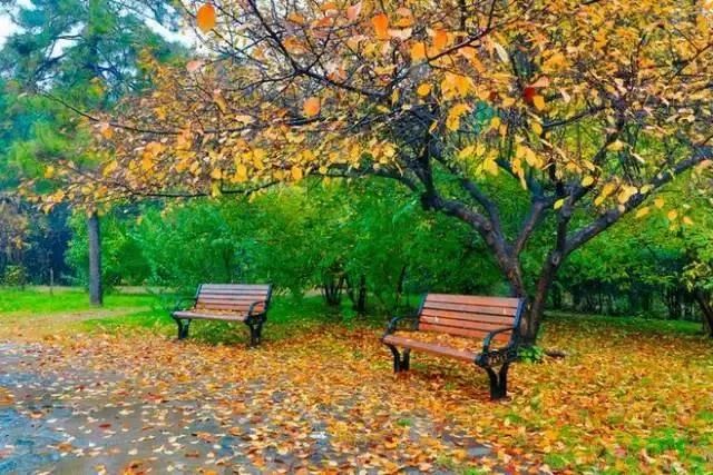 类似心坟的虐心小说_离人醉红尘小说_离人心上小说