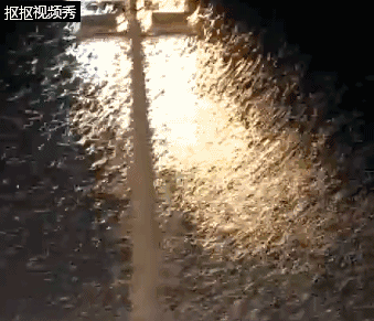 蚁哥正传 小蚁雄兵_蛇蚁骨康全蝎蛇蚁胶囊问医生_飞蚁