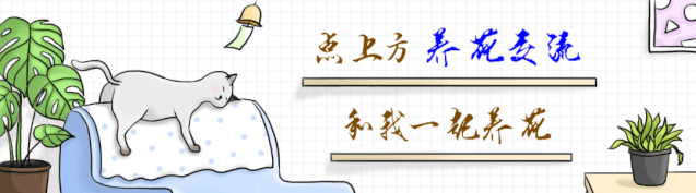 防辐射植物防辐射植物 ​植物花卉的几个谣言，防辐射、吸甲醛和驱虫，还有人深信不疑？