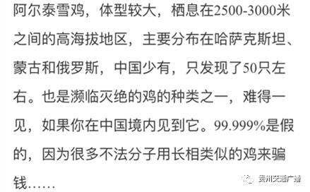 艺涛梁剑东夜色dj视频_东涛鸡_夜色艺涛 梁剑东腾讯