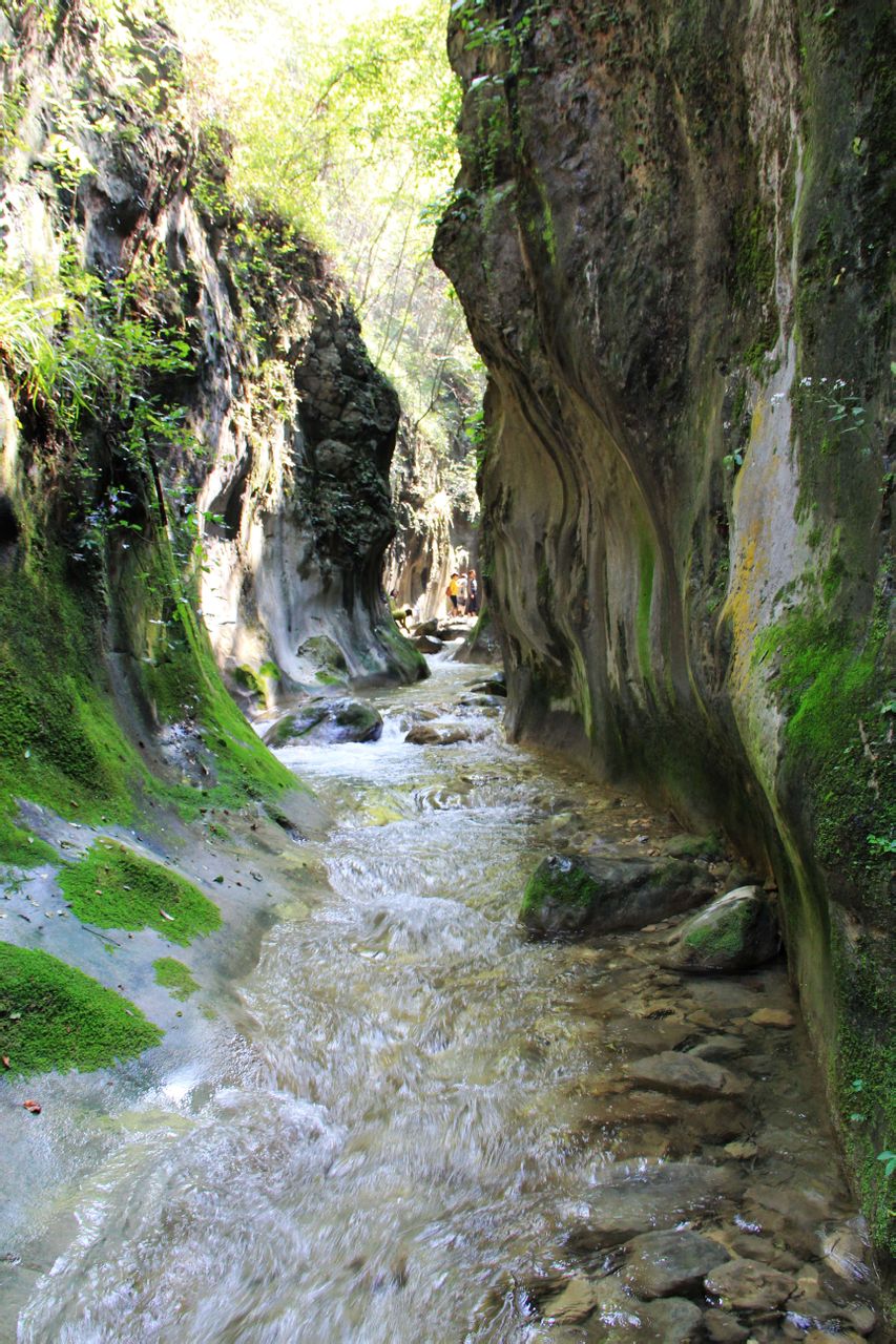 焦作峰林峡_焦作峰林峡_焦作峰林峡酒厂