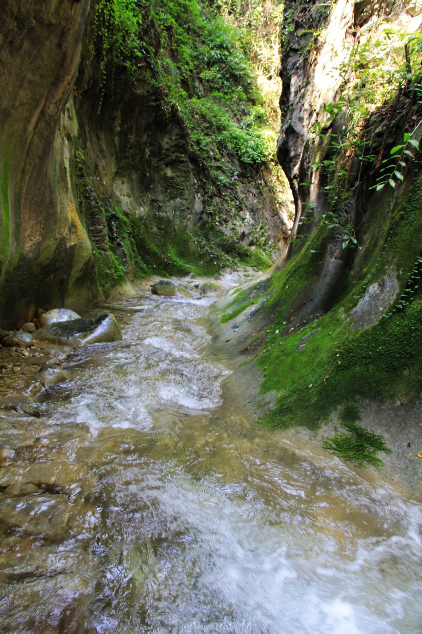 焦作峰林峡_焦作峰林峡酒厂_焦作峰林峡