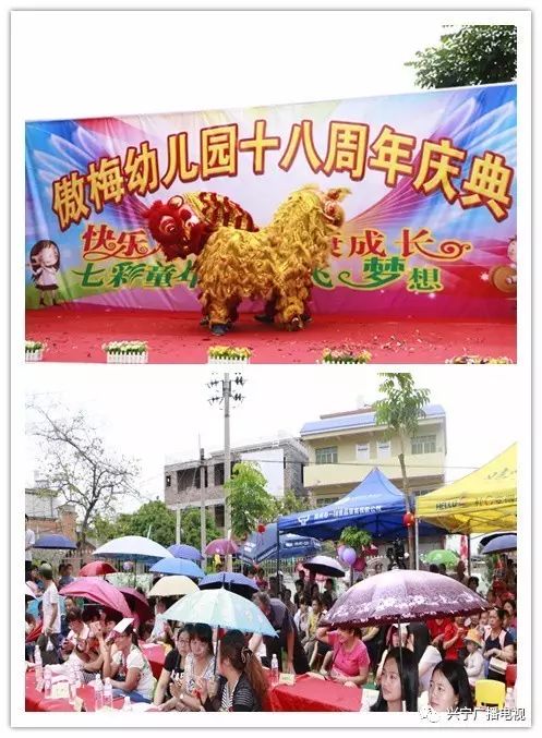 寒雪傲梅图片_傲梅分区助手绿色版_傲梅