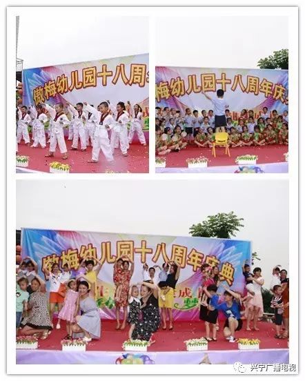 寒雪傲梅图片_傲梅_傲梅分区助手绿色版