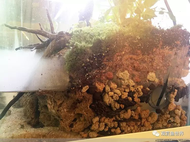 风水泰山石有什么作用_火麻子的功效与作用_火山石的作用