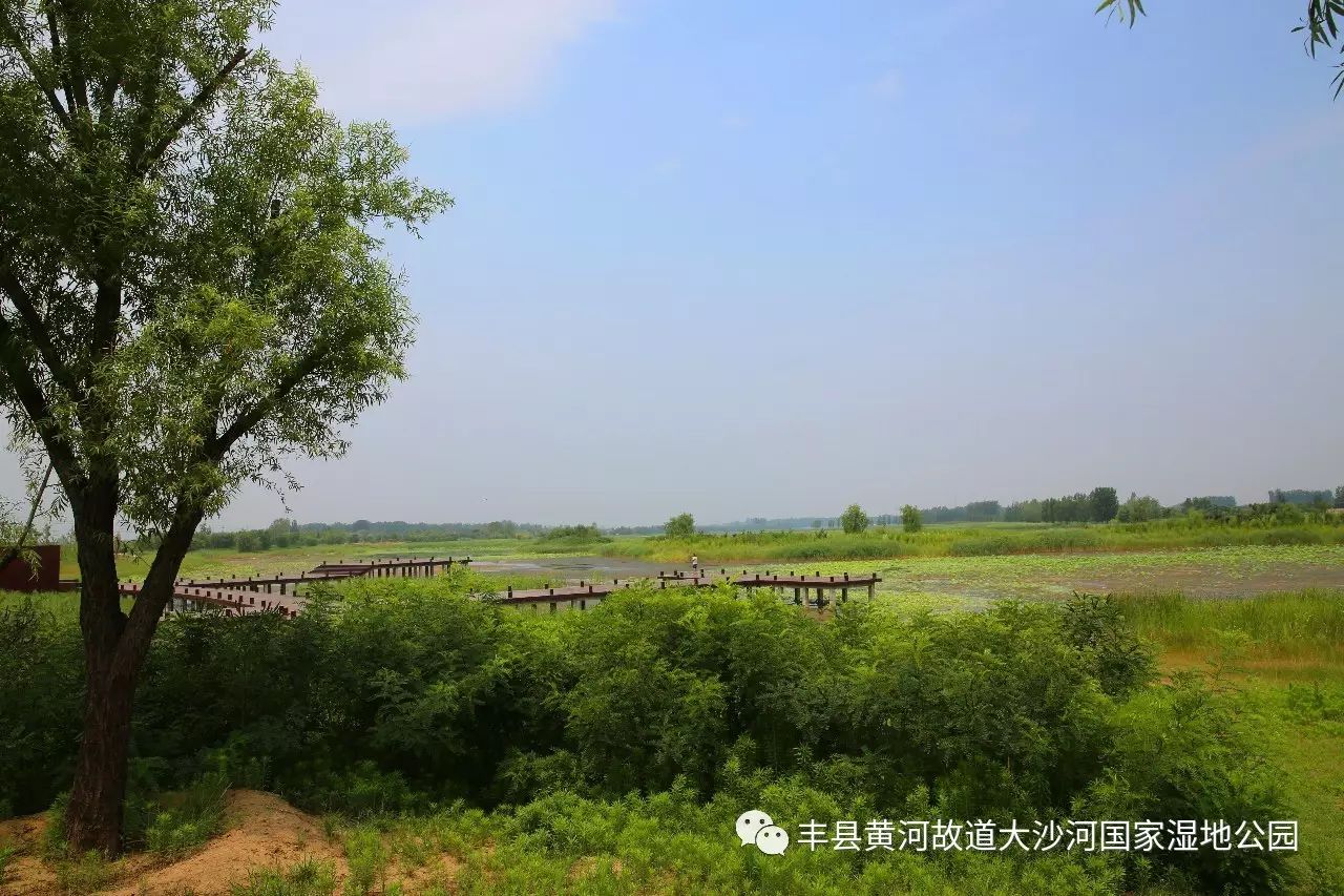 大沙河湿地公园_中牟县黄河湿地汽车公园_琉璃河湿地森林遗址公园
