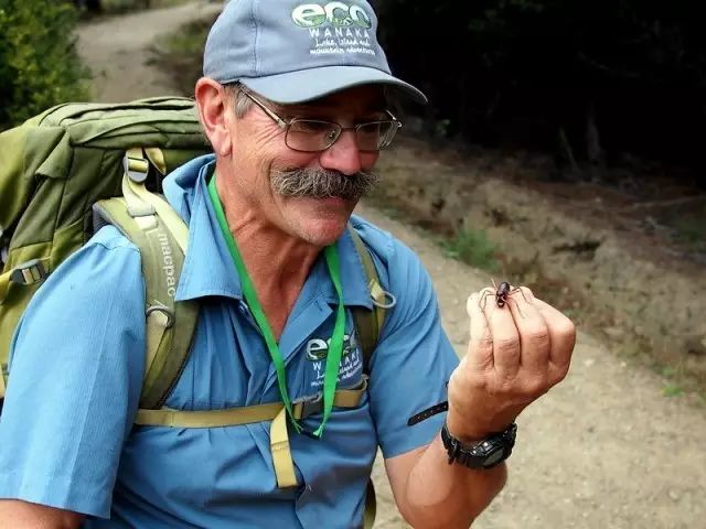 巨沙螽能打过皇帝巴布_巨沙螽_非洲巨螳 vs 沙螽