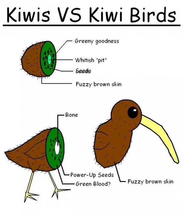 非洲巨螳 vs 沙螽_巨沙螽_巨沙螽能打过皇帝巴布