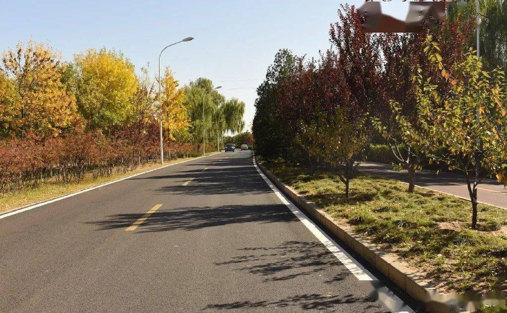 北京星海学校_星海学校_灵溪星海学校