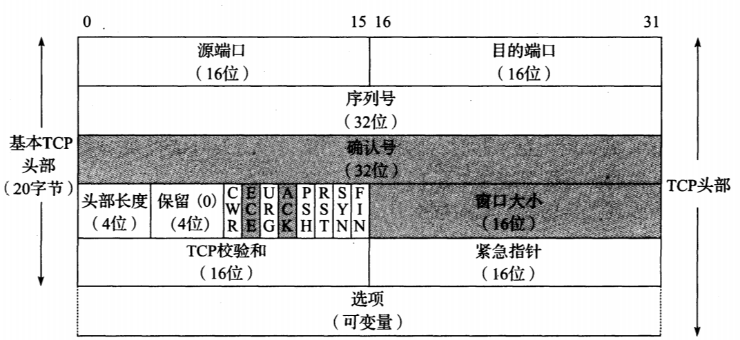航空气象报文nsc啥意思_请求报文和响应报文_报文是什么意思
