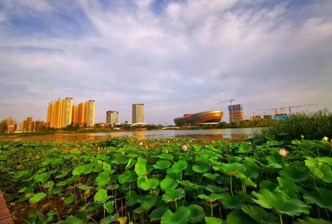 etf交易规则及费用 会才老师教你ETF交易策略！