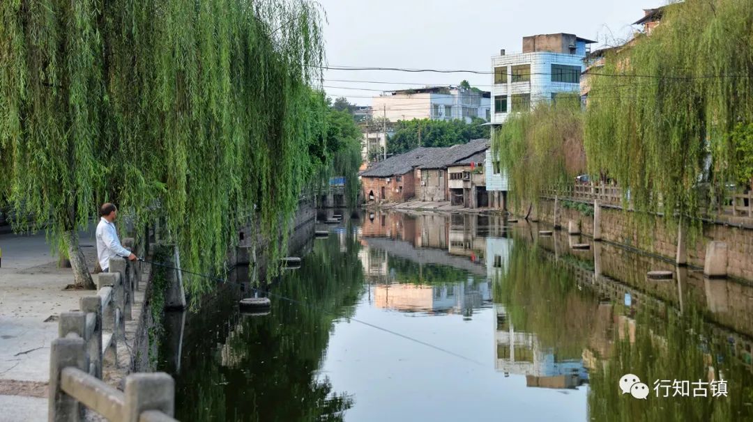 盐道街_盐街道小学东湖校区_盐街道中学怎么样