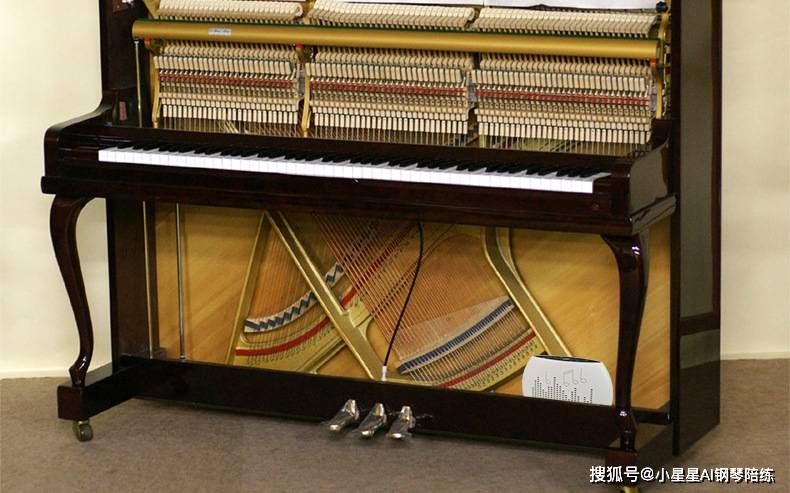 钢琴晚年龄学什么乐器_学钢琴的最晚年龄_钢琴晚年龄学什么好